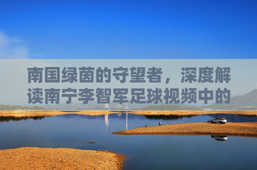 南国绿茵的守望者,深度解读南宁李智军足球视频中的战术智慧与足球情怀
