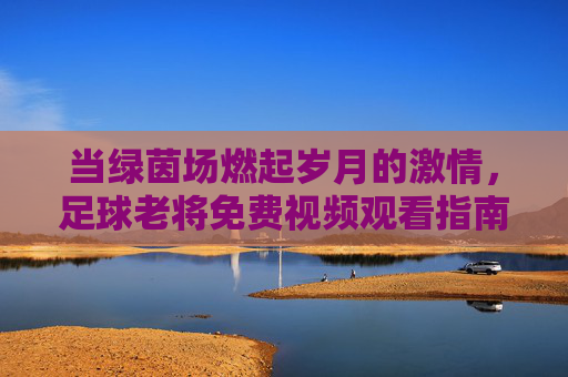 当绿茵场燃起岁月的激情,足球老将免费视频观看指南