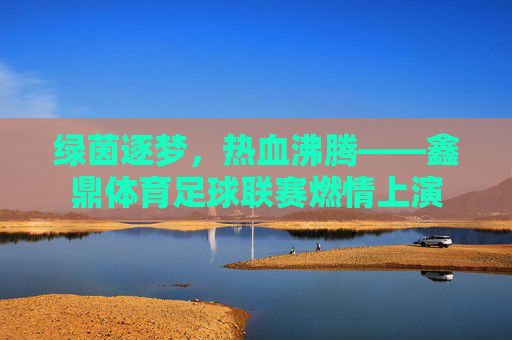 绿茵逐梦,热血沸腾——鑫鼎体育足球联赛燃情上演