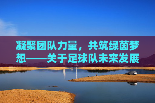 凝聚团队力量,共筑绿茵梦想——关于足球队未来发展方向的征求意见通知