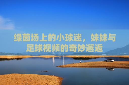 绿茵场上的小球迷,妹妹与足球视频的奇妙邂逅