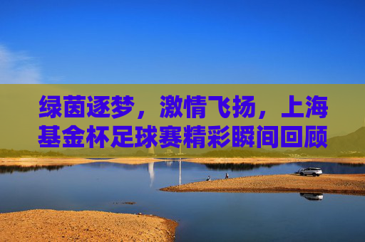 绿茵逐梦,激情飞扬,上海基金杯足球赛精彩瞬间回顾