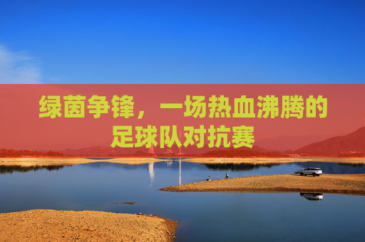 绿茵争锋，一场热血沸腾的足球队对抗赛