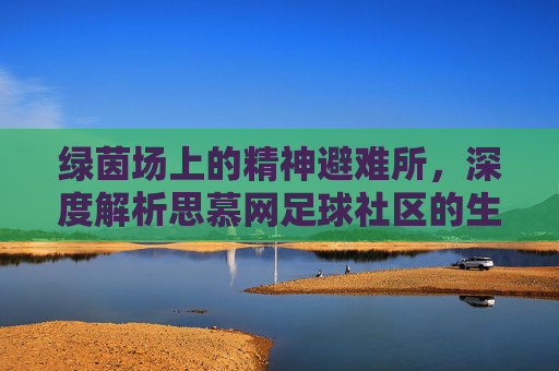 绿茵场上的精神避难所,深度解析思慕网足球社区的生态与魅力