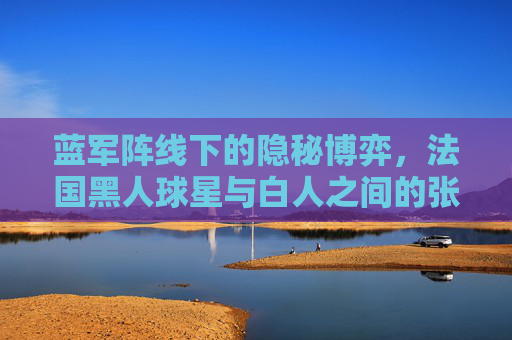 蓝军阵线下的隐秘博弈,法国黑人球星与白人之间的张力与融合
