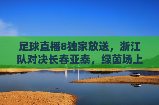 足球直播8独家放送,浙江队对决长春亚泰,绿茵场上的巅峰较量