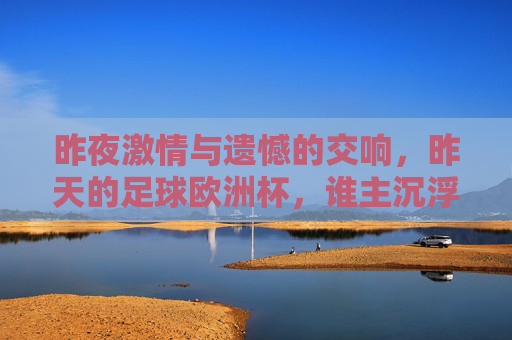 昨夜激情与遗憾的交响，昨天的足球欧洲杯，谁主沉浮？