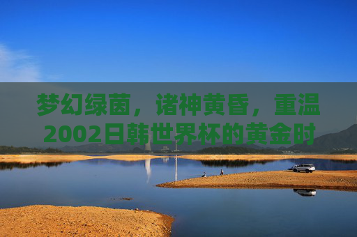 梦幻绿茵，诸神黄昏，重温2002日韩世界杯的黄金时代