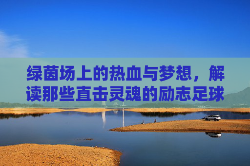 绿茵场上的热血与梦想,解读那些直击灵魂的励志足球运动视频