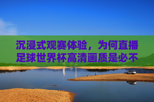 沉浸式观赛体验，为何直播足球世界杯高清画质是必不可少的？
