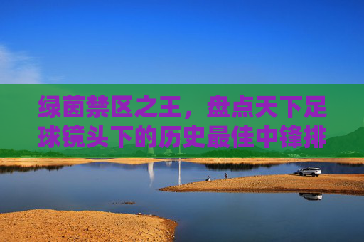 绿茵禁区之王,盘点天下足球镜头下的历史最佳中锋排名
