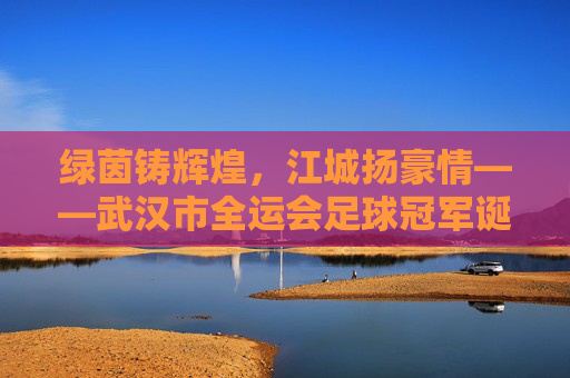 绿茵铸辉煌,江城扬豪情——武汉市全运会足球冠军诞生记