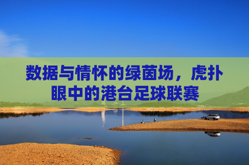 数据与情怀的绿茵场,虎扑眼中的港台足球联赛