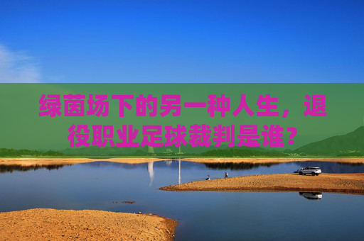绿茵场下的另一种人生,退役职业足球裁判是谁?