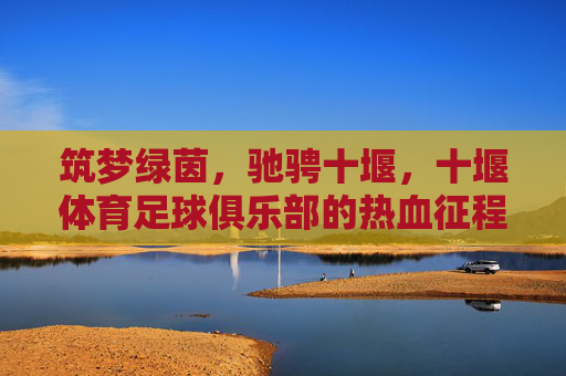 筑梦绿茵,驰骋十堰,十堰体育足球俱乐部的热血征程