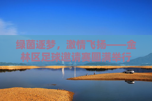 绿茵逐梦,激情飞扬——金林区足球邀请赛圆满举行