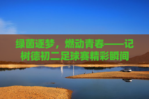 绿茵逐梦,燃动青春——记树德初二足球赛精彩瞬间