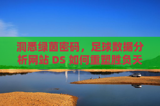 洞悉绿茵密码,足球数据分析网站 DS 如何重塑胜负天平