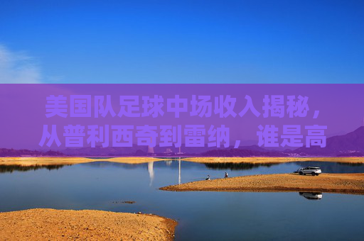 美国队足球中场收入揭秘,从普利西奇到雷纳,谁是高薪王?
