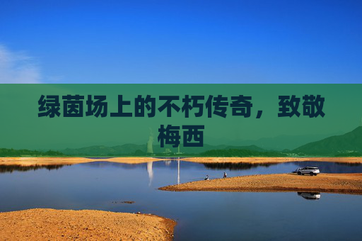 绿茵场上的不朽传奇,致敬梅西