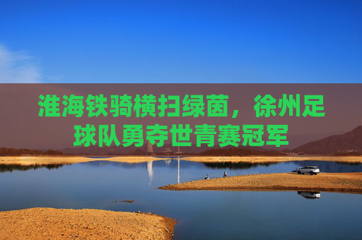 淮海铁骑横扫绿茵,徐州足球队勇夺世青赛冠军