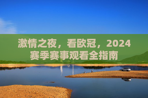 激情之夜,看欧冠,2024赛季赛事观看全指南