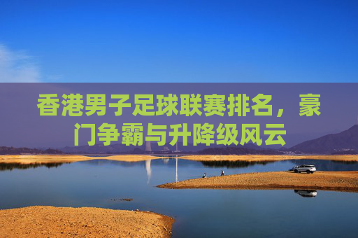 香港男子足球联赛排名,豪门争霸与升降级风云