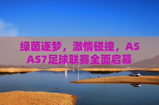绿茵逐梦,激情碰撞,ASAS7足球联赛全面启幕