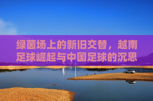 绿茵场上的新旧交替,越南足球崛起与中国足球的沉思