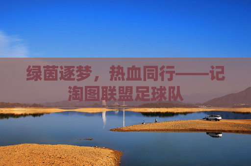 绿茵逐梦,热血同行——记淘图联盟足球队
