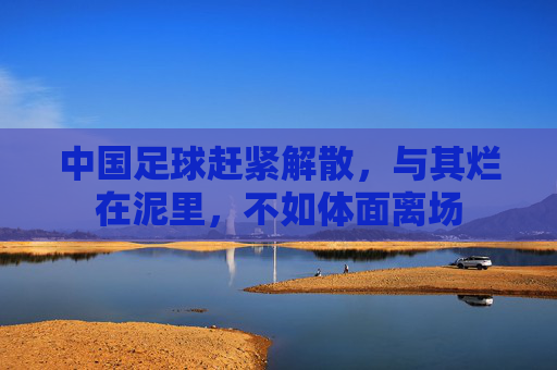 中国足球赶紧解散,与其烂在泥里,不如体面离场
