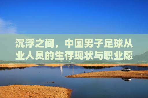 沉浮之间,中国男子足球从业人员的生存现状与职业愿景