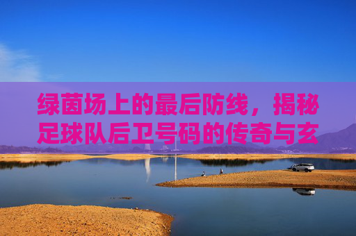 绿茵场上的最后防线,揭秘足球队后卫号码的传奇与玄机