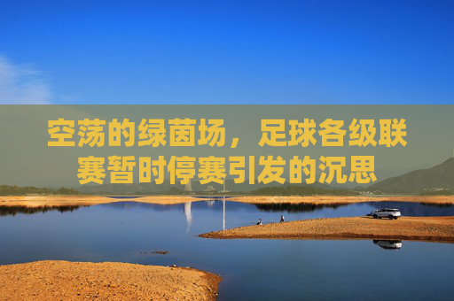 空荡的绿茵场,足球各级联赛暂时停赛引发的沉思