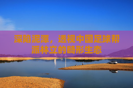 深陷泥潭,透视中国足球帮派林立的畸形生态