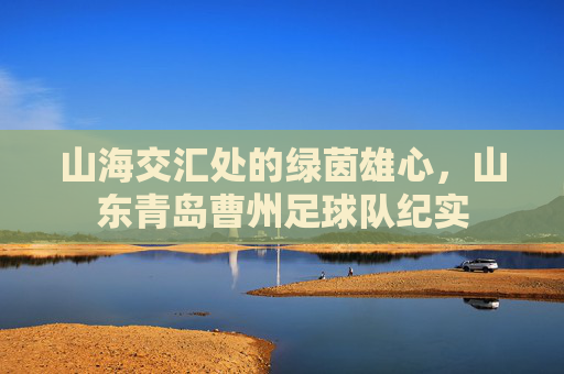 山海交汇处的绿茵雄心,山东青岛曹州足球队纪实
