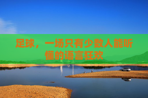 足球,一场只有少数人能听懂的语言狂欢