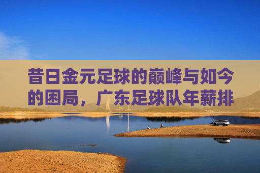 昔日金元足球的巅峰与如今的困局,广东足球队年薪排名深度解析