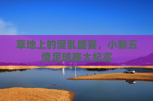 草地上的混乱盛宴,小新五傻足球赛大纪实