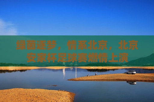绿茵逐梦,情系北京,北京安家杯足球赛燃情上演