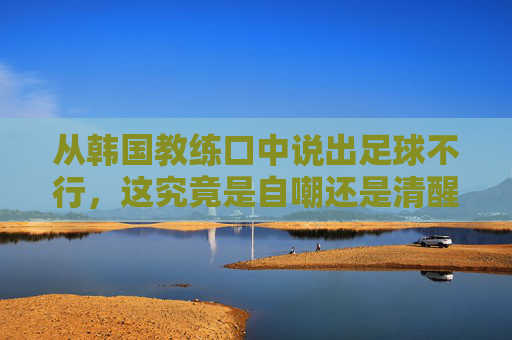 从韩国教练口中说出足球不行,这究竟是自嘲还是清醒?