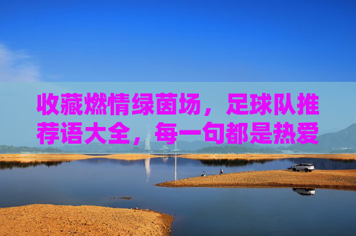 收藏燃情绿茵场,足球队推荐语大全,每一句都是热爱!