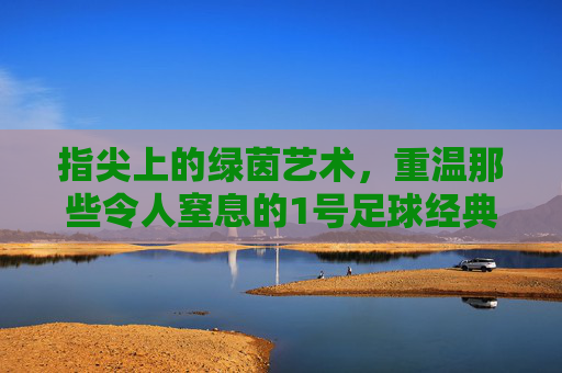 指尖上的绿茵艺术,重温那些令人窒息的1号足球经典动作视频