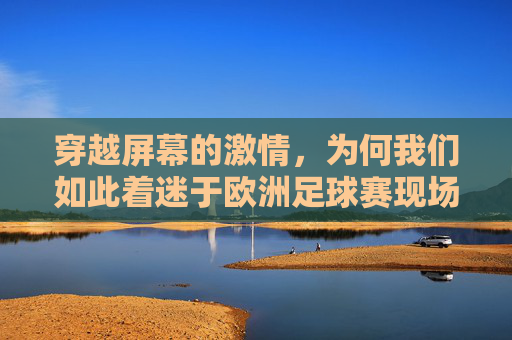 穿越屏幕的激情,为何我们如此着迷于欧洲足球赛现场视频