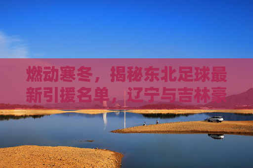 燃动寒冬,揭秘东北足球最新引援名单,辽宁与吉林豪掷千金剑指何方?