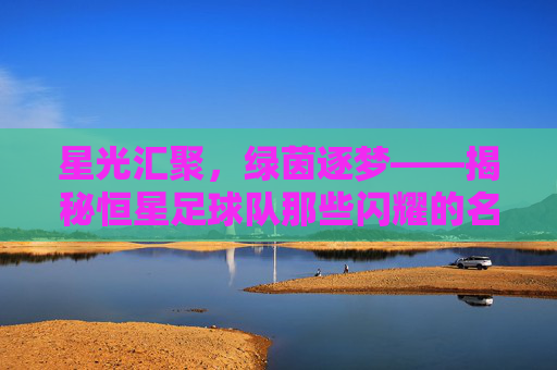 星光汇聚,绿茵逐梦——揭秘恒星足球队那些闪耀的名字