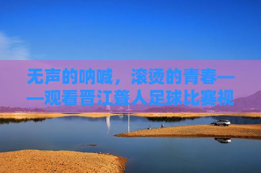 无声的呐喊,滚烫的青春——观看晋江聋人足球比赛视频有感