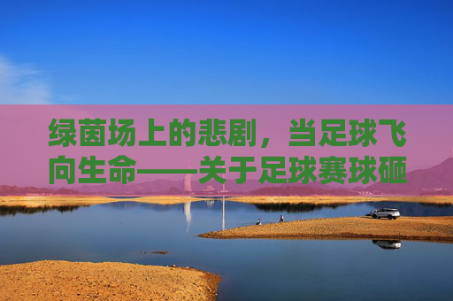 绿茵场上的悲剧,当足球飞向生命——关于足球赛球砸死观众事件的反思