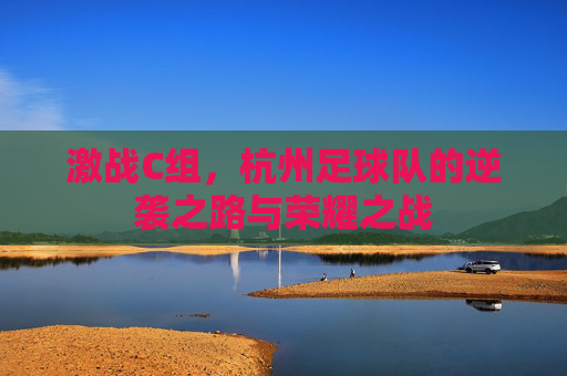 激战C组,杭州足球队的逆袭之路与荣耀之战