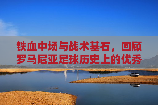 铁血中场与战术基石,回顾罗马尼亚足球历史上的优秀后腰